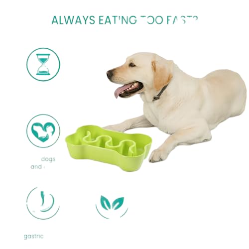 Petlogix Slow Feeder Dog Bowl Fun Feeder No Chocking Slow Polypropylene Feeder Bloat Stop Food Water Bowl for Dog Cat with Funny Pattern