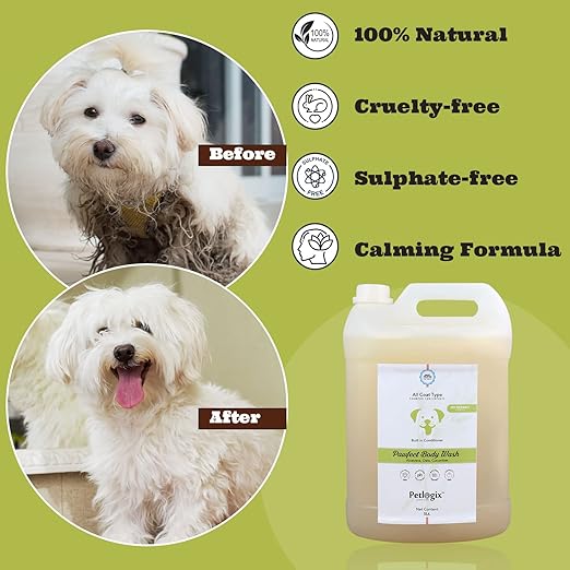 Petlogix Natural Pawfect Anti-Bacterial, Anti-Fungal and Anti-Itching Body Wash Shampoo Conditioner for Dogs and Cats with Aloevera, Oats & Cucumber (5L)