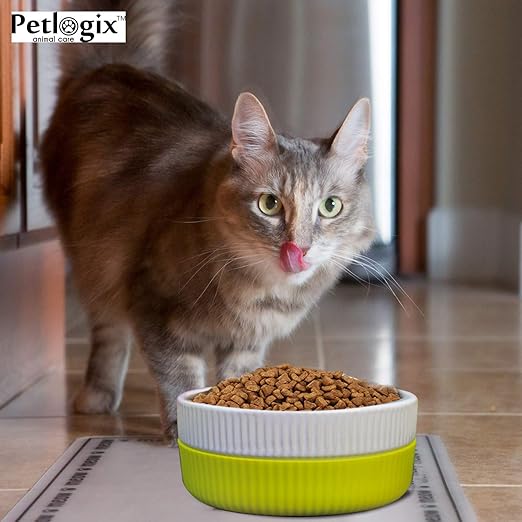 Petlogix Anti-Slip & Anti-Rust Ceramic Feeding Food & Water Pet Bowl for Dog and Cats – Large (15.55cm in Diameter)(Large)