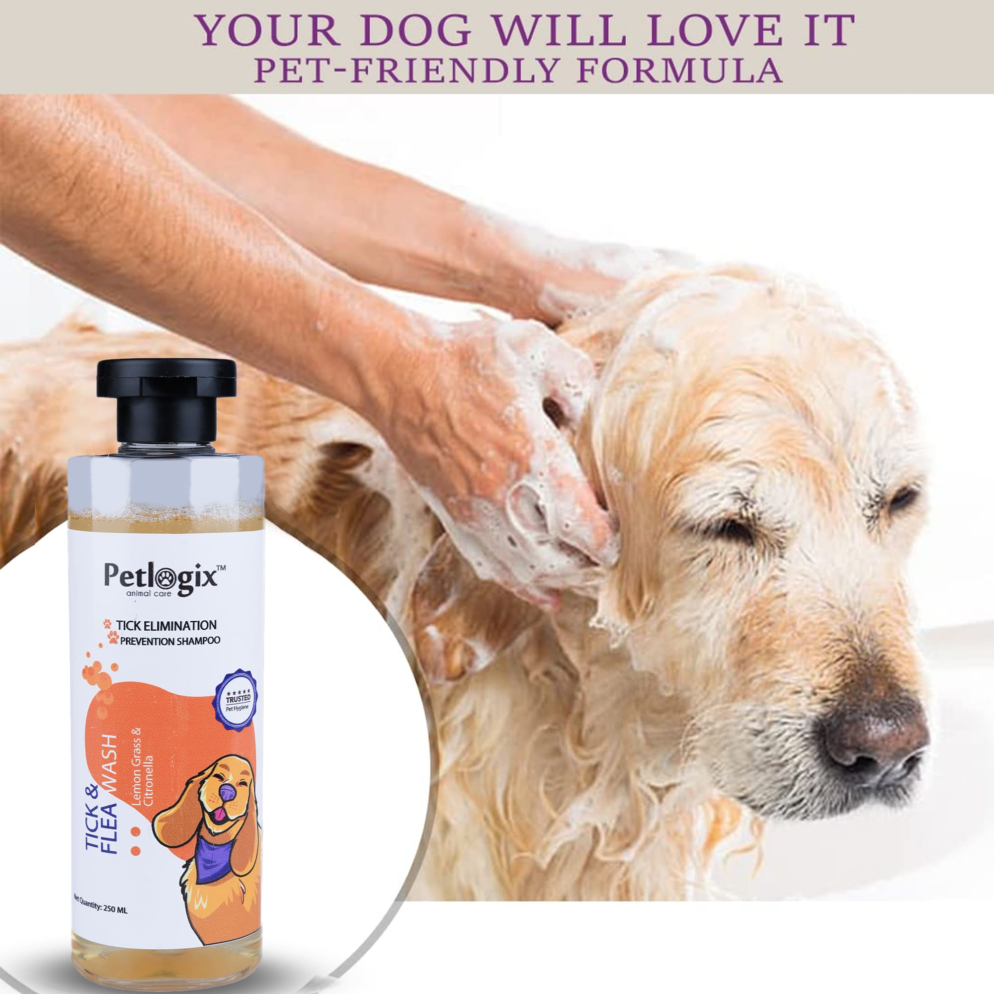Petlogix Natural Tick & Flea Wash Shampoo Fights Dirt Allergens Removed Odor Infused with Citronella & Lemongrass Anti Itch Coat Cleanser for Pet Dogs & Cats Mineral Oil, SLS & Paraben Free (250ml)