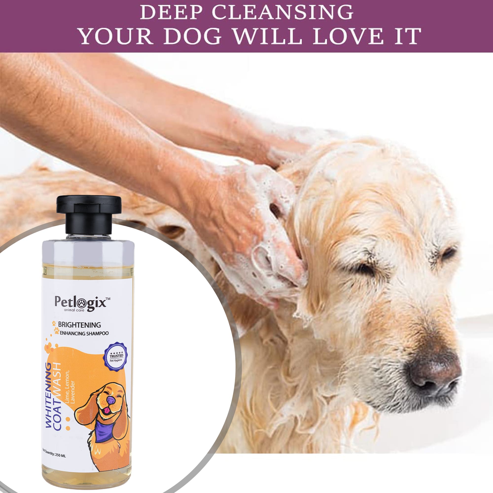 Petlogix Whitening Coat Wash Shampoo for Dog & Cat with Lemon, Lime & Lavender Natural Pet-Friendly Paraben-Free Formula (250ml)