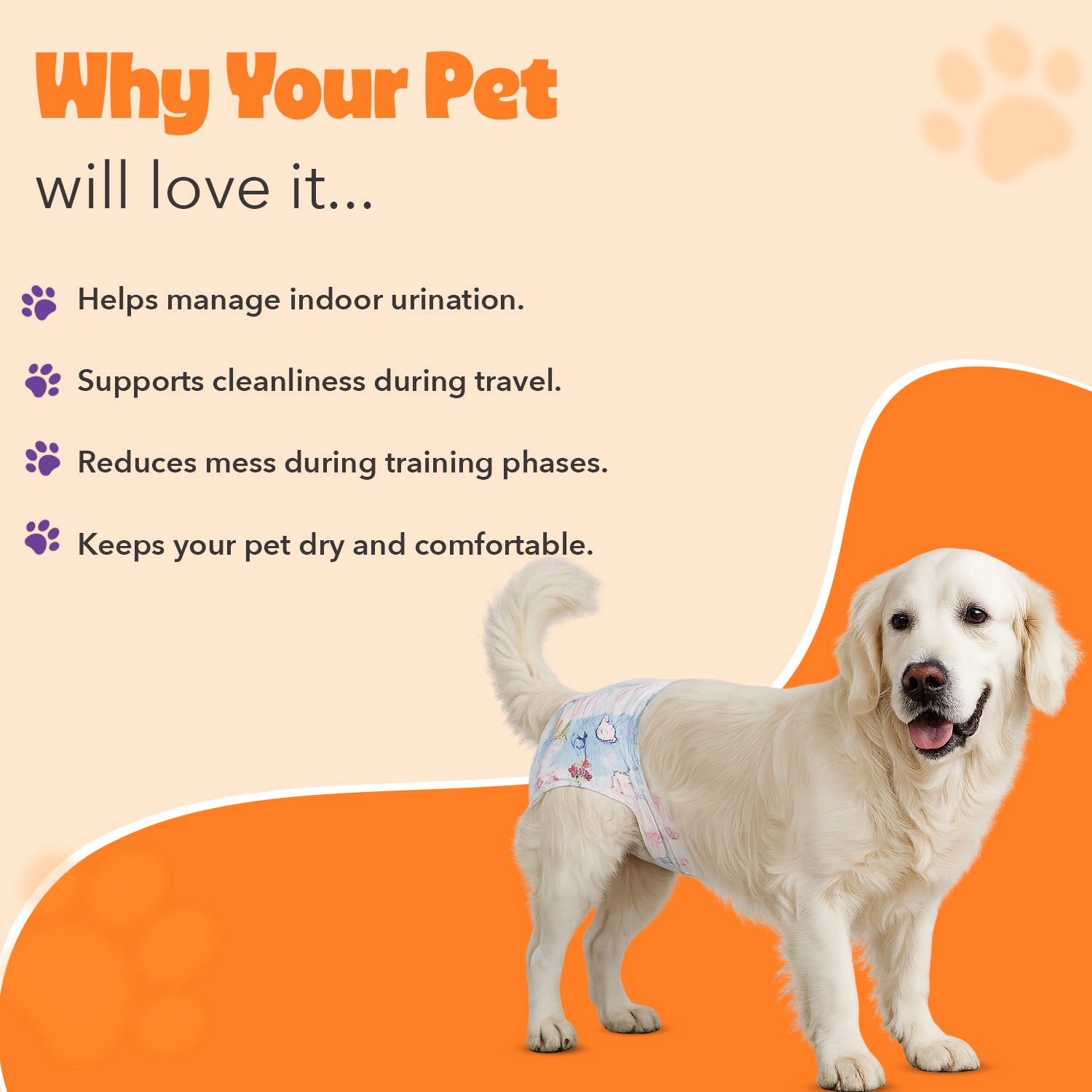 Pet Diapers male