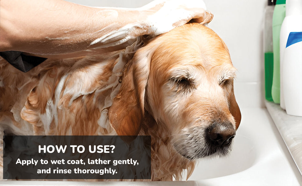 Petlogix Natural Anti Dandruff Shampoo for Dogs and Cats, Itching Control Pet Shampoo with Apple Cider & Oatmeal, SLS & Paraben Free, 250ml
