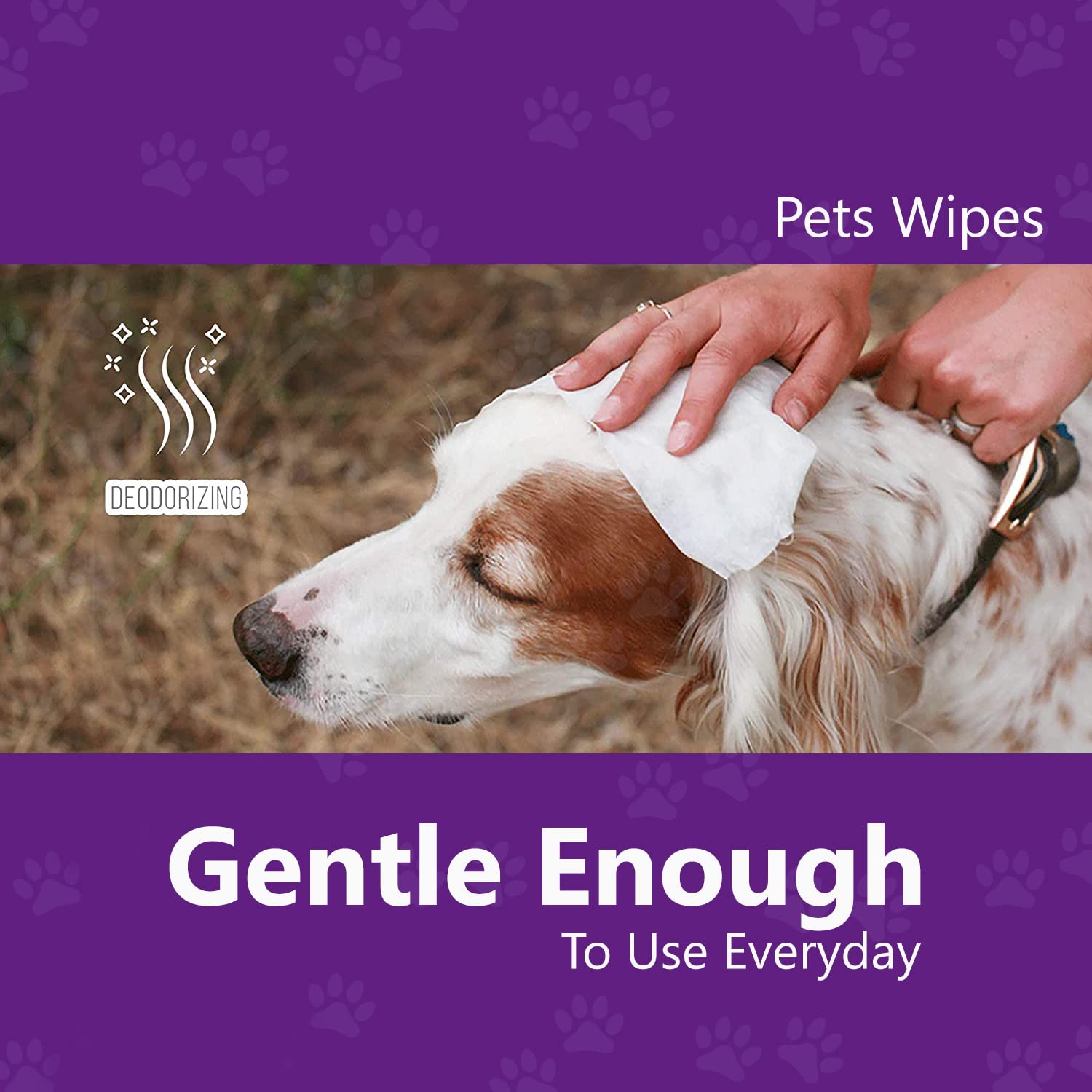 Hygiene Pet wipes